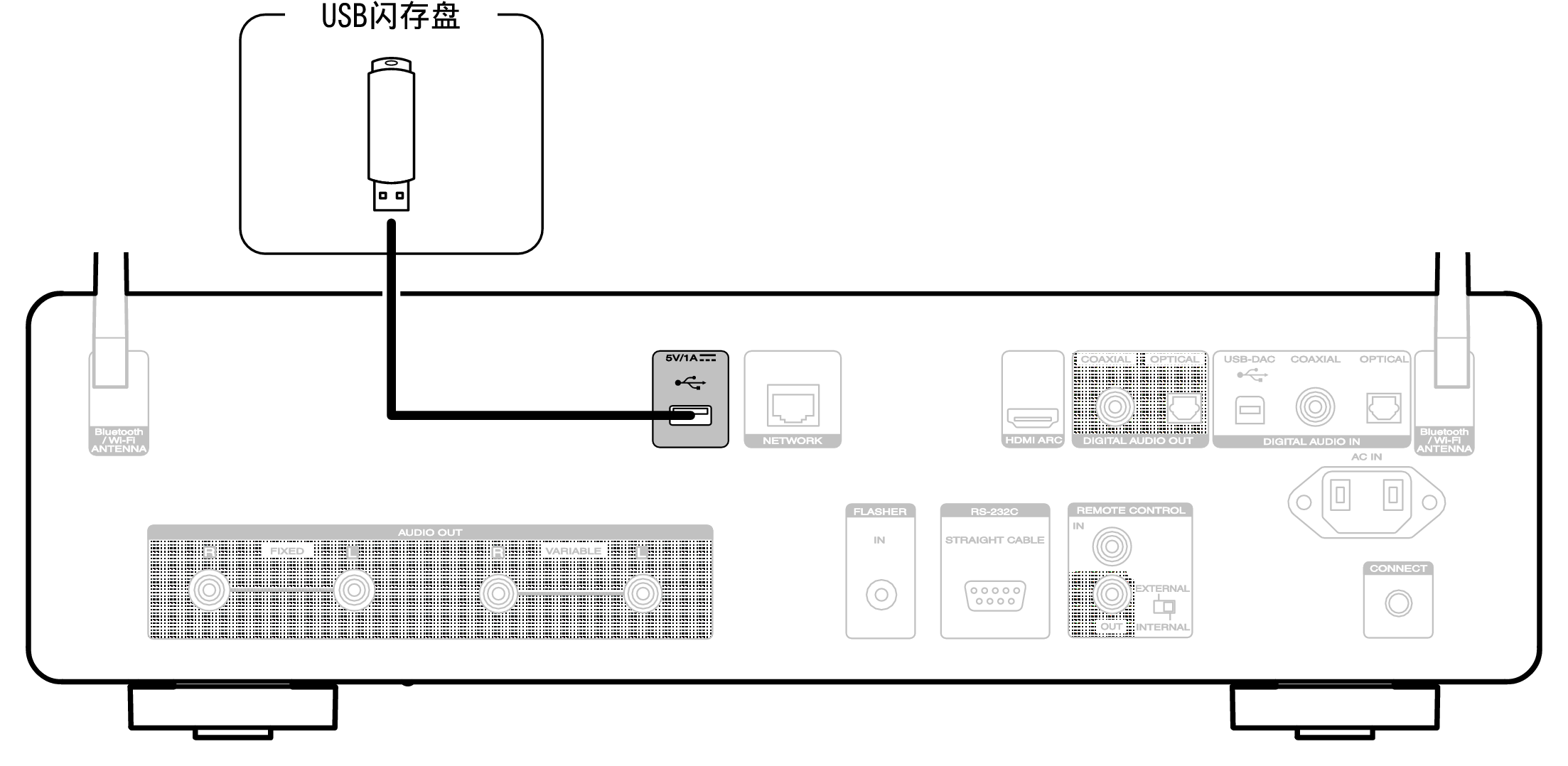 Conne USB Rear CD50n